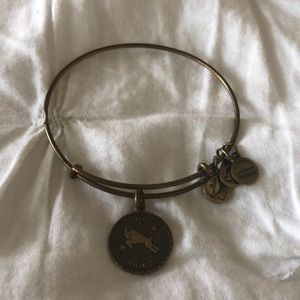 Alex and Ani Bracelet